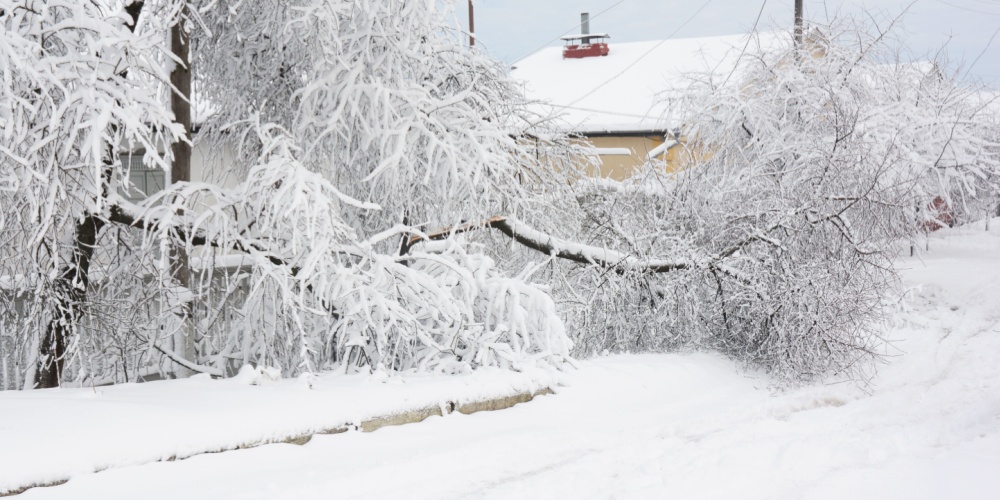 Winter in Nederland - Zo meld je schade snel en makkelijk